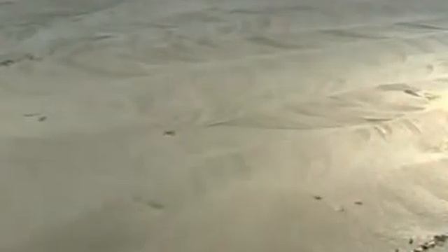 Устройство промышленного пола