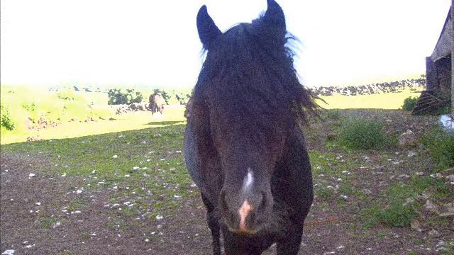 william xxx смотреть онлайн