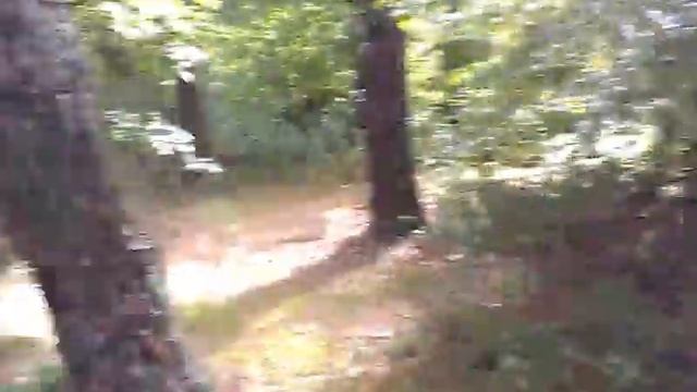 Коп в лиску арел на якорях смотреть онлайн
