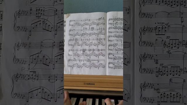 С.В.Рахманинов "Элегия" Педаль( 2а часть) смотреть онлайн