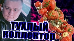 Тухлый помидор из НСВ Игра по правилам Шантаж В рот компот/УЛОВКИ БАНКА/АНТИКОЛЛЕКТОР/230 ФЗ/ДОЛГИ