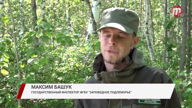 Сохраним природу смотреть онлайн