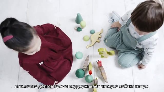 Как заставить собаку больше двигаться? смотреть онлайн