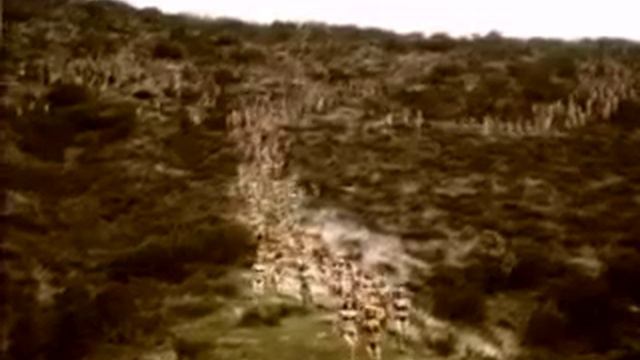 Axe - Africa - Deodorant смотреть онлайн