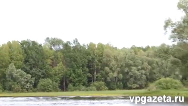 Рейд ГИМС (16 июня) смотреть онлайн
