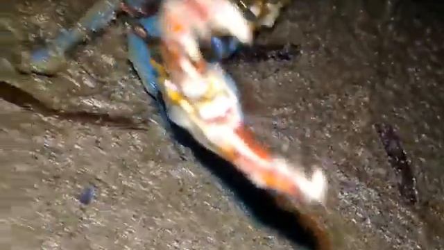 Эй, парни, вы чё? Я не при делах - просто мимо проходил! смотреть онлайн