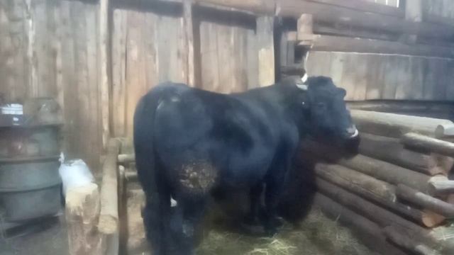 Наше хозяйство. Жизнь в деревне. смотреть онлайн