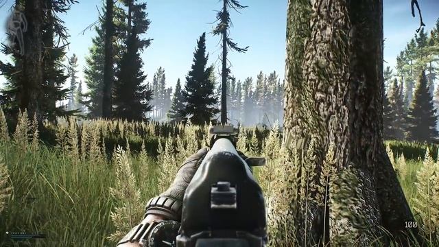 Лес Боли - Хардкор Челендж #4 - Escape From Tarkov смотреть онлайн