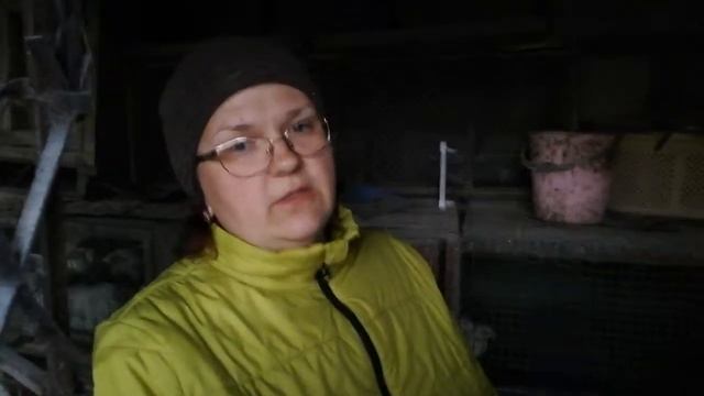 Цыплячье переселение смотреть онлайн