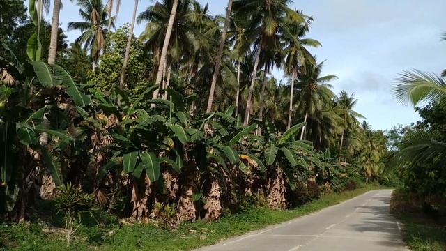 Как живут русские на Филиппинах, Жизнь в обычной деревне на острове, ПМЖ за границей смотреть онлайн