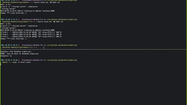 Integration with Postgres DB in Go language смотреть онлайн