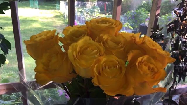 ВМЕСТЕ 4 ГОДА А ДЛЯ МЕНЯ КАК 40 лет -поздравления от мужа смотреть онлайн