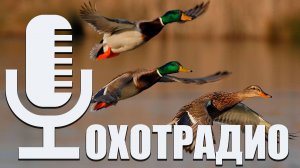 КАК ВЫБИРАТЬ РУЖЬЕ ДЛЯ ОХОТЫ 2024 _ ПО КАКИМ КРИТЕРИЯМ_ ОХОТРАДИО