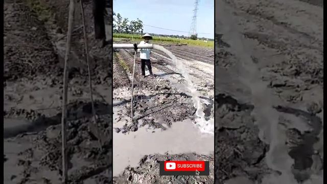 Sibel Sumur Sawah Kesing 6dim keluaran 2 1/2 dimm Ampuhh Daya 3500 смотреть онлайн