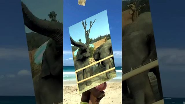 АФРИКАНСКАЯ ОДИССЕЯ ДЛЯ МОЛОДЫХ АВАНТЮРИСТОВ #отдых #путешествия #2024 #туризм #travel смотреть онлайн