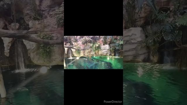 Исследованы создание водопады в Т.Р.Ц VEGAS Крокус Сити Мякинино в Москве. смотреть онлайн