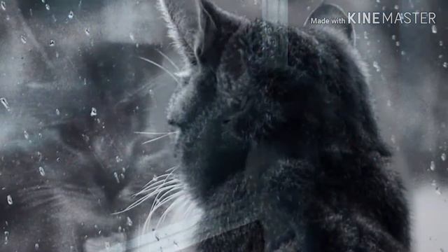 😭[почему я токая? Некому не нужная💧] смотреть онлайн