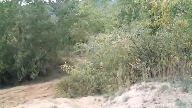Питбайк KAYO 125 KRZ ПО ПЕСКУ смотреть онлайн