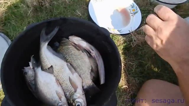 Приготовление ухи из речной рыбы на костре смотреть онлайн