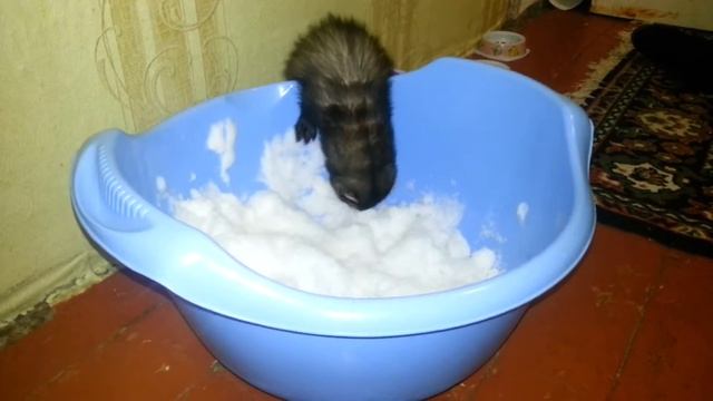 знакомство с первым снегом. часть2 смотреть онлайн