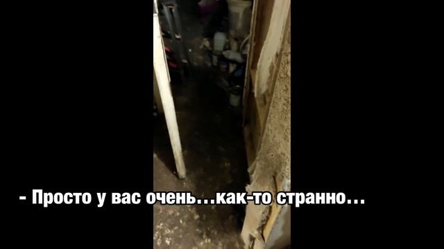 Из нового «дома» собаки, волонтёры вылетели в ужасе… Куда приехала Кнопа за 1000 км?? смотреть онлайн