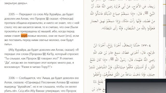 ? LIVE: часть 2; мусульманин убедил христиан принять ислам, когда рассказал про рабство в библии смотреть онлайн