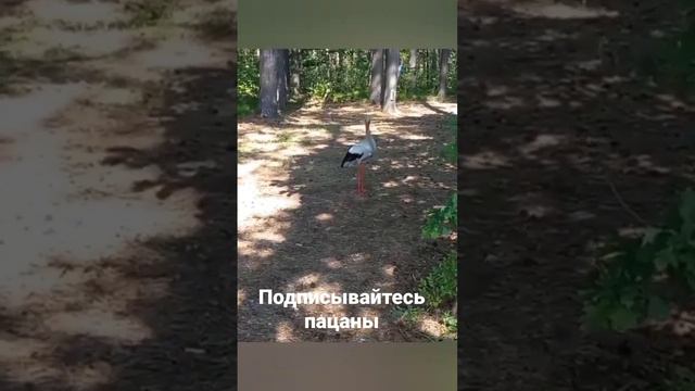 рыбалка это жизнь планктон ск смотреть онлайн