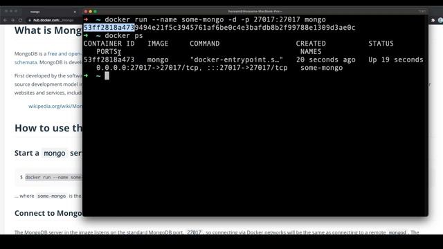 Mongo DB on Docker - One minute - One Line Code - 2021 смотреть онлайн