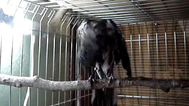 После купания смотреть онлайн