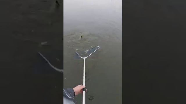 На рыбалке 2019 год Балаково смотреть онлайн