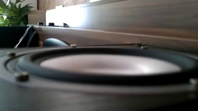 Magnat Monitor 220 Soundtest