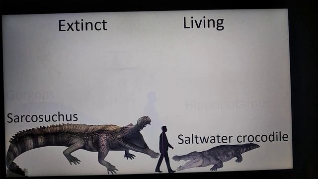 Living vs Extinct animals size comparison смотреть онлайн
