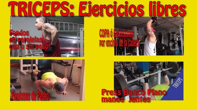 ✔️ ECTOMORFOS ? Rutina De Brazos Correcta ?