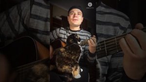 ВЫЙДУ НА УЛИЦУ кавер на гитаре 2022