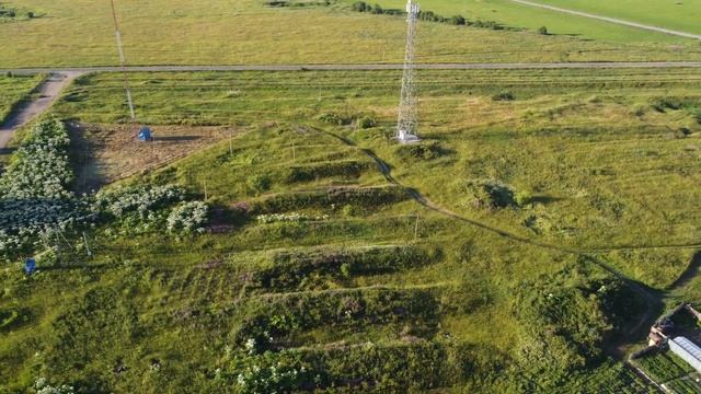 борщевик поселок Курск смотреть онлайн