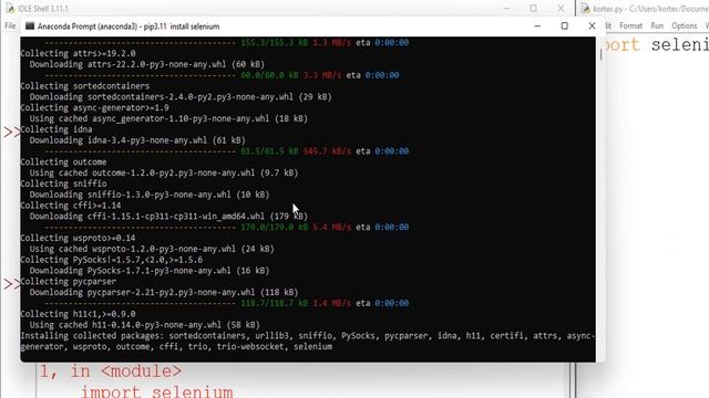 No module named 'selenium' in Python [Tutorial] смотреть онлайн