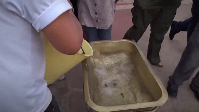 Эксперименты с водой на экваторе смотреть онлайн