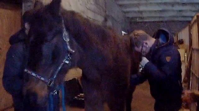 Maximilian Joerdens: осмотр Гагры смотреть онлайн