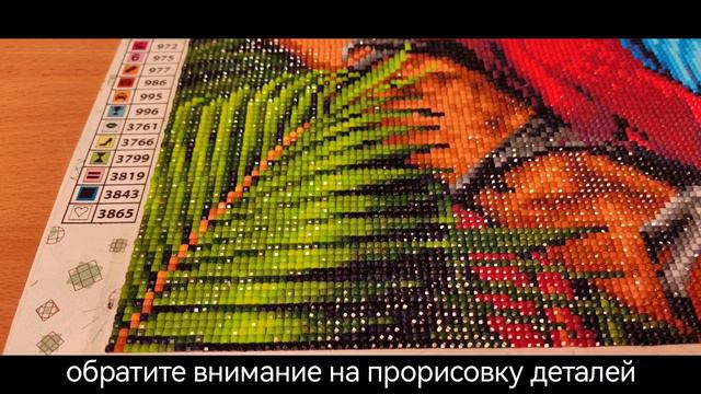 Алмазная мозаика "Ара в джунглях" распаковка, обзор, сборка, оформление картины