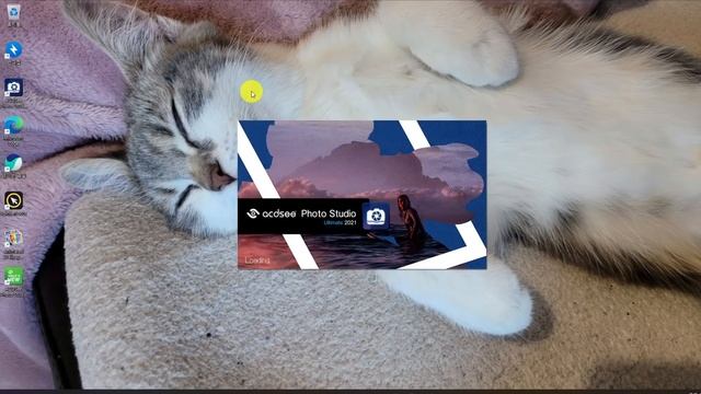 대박이죠? Acdsee 포토 스튜디오 얼티밋 2021 무료!! 꼭 받아가세요 смотреть онлайн