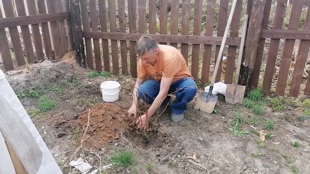 Серёжа это сделал 💪 смотреть онлайн