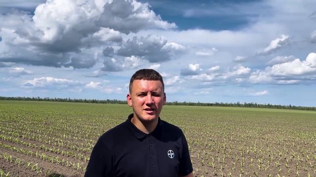 Дневник БайАрены. Защита кукурузы. Часть 1. смотреть онлайн