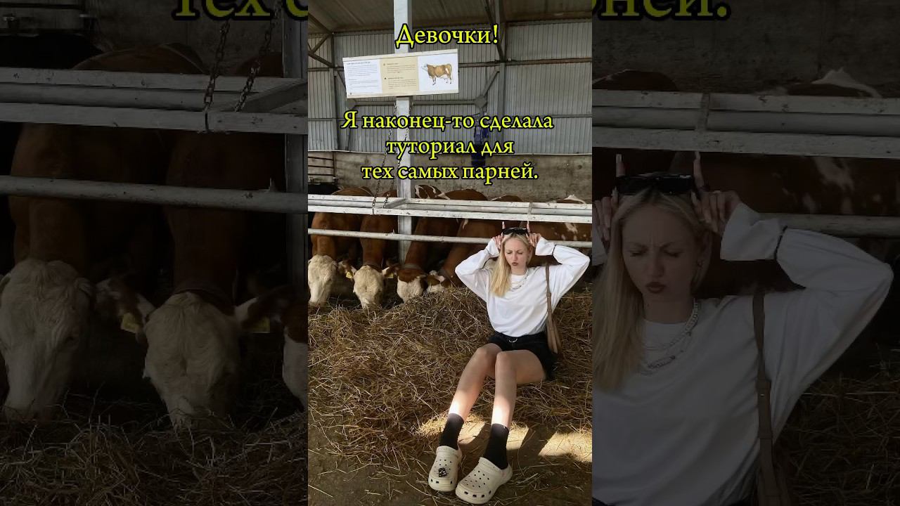 Как относитесь к таким словам?