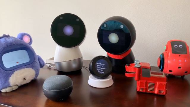 Jibo And Friends - Saturday Livestream (Red Rose)