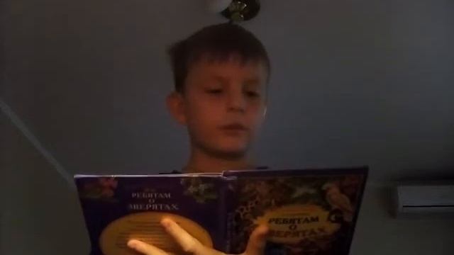 3 стиха (сказки для малышей)