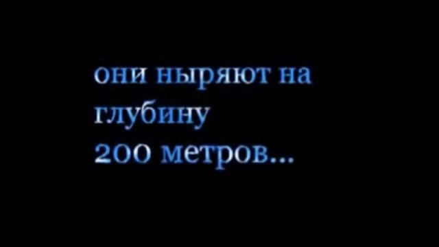 ЗАКЛЮЧЕНИЕ ДЛЯ РАЗВЛЕЧЕНИЯ смотреть онлайн