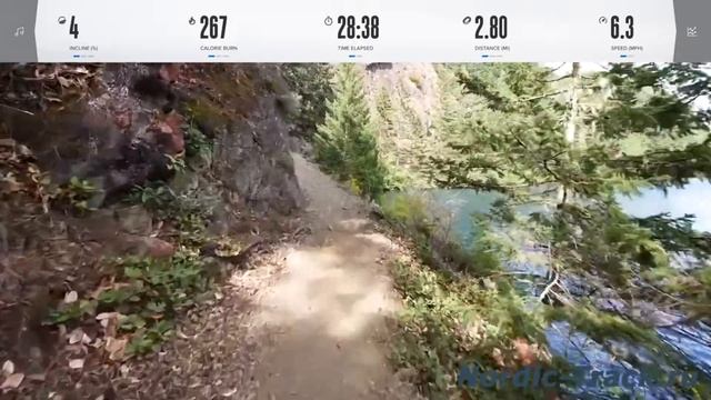 NordicTrack GX 4.4 Pro велотренажер — https://Nordic-Track.ru смотреть онлайн