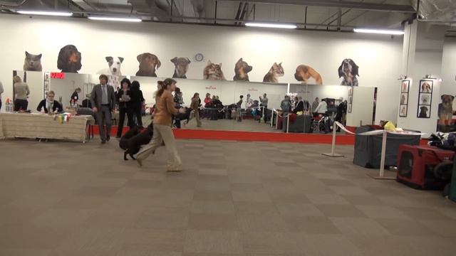 Dino Arena смотреть онлайн