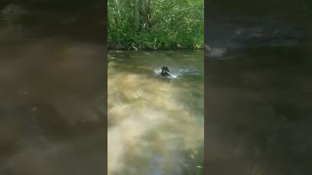 Роман-Кош Учан-Су. Тучка в Карелии.Любимая стихия. смотреть онлайн