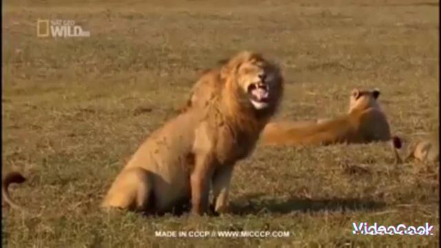 от чего он смеётся? #что #хаха